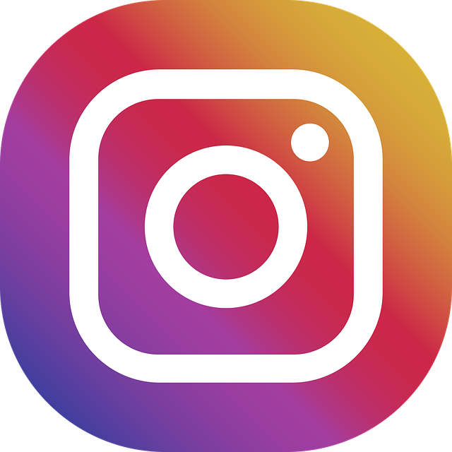 enlace a instagram